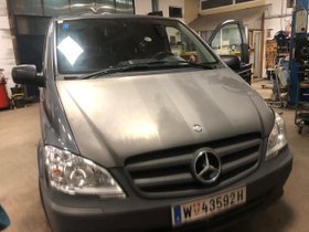 Mercedes-Vito mit Stier