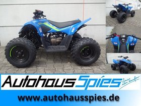 CFMOTO  KIDS ATV AB 10 JAHREN