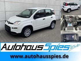 FIAT PANDA 1.0 MILD HYBRID  BASE KLIMA DAB 