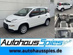 FIAT PANDA 1.0 MILD HYBRID  BASE KLIMA DAB 