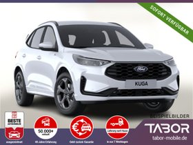 FORD Kuga ST-Line HUD Matrix WinterP Kam AHKVorb 18Z