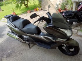 Gelegenheit: Silverwing 600