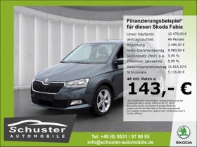 SKODA Fabia Cool Plus 1.0TSI-SHZ PDC Klima Blueto Alu