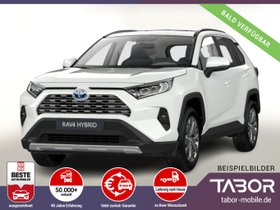 TOYOTA RAV4 2.5 Hybrid 222 4x4 Team D el.HK SHZ DigC