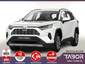 TOYOTA RAV4 2.5 Hybrid 222 4x4 Team D el.HK SHZ DigC