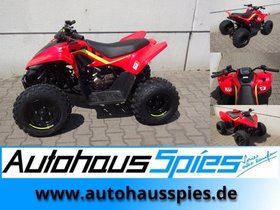 CFMOTO  KIDS ATV AB 10 JAHREN