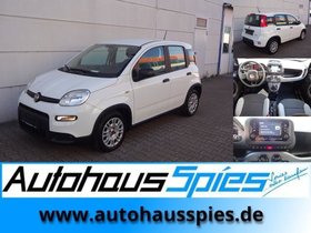 FIAT PANDA 1.0 MILD HYBRID  BASE KLIMA DAB 