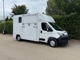 Pferdetransporter DT 2- Ride Light 3,5t Neufahrzeug Klima Viehtransporter Tiertransporter Horsetruck