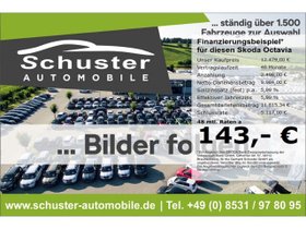 SKODA Octavia Combi 1.6TDI-Navi Tempo SHZ PDC Nebelsch