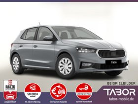 SKODA Fabia DSG Selec LED SHZ Kam PDC SunS VirC 4J/60k