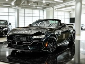 FORD Mustang 5.0 GT V8 US-Variante 487 PS ohne DPF