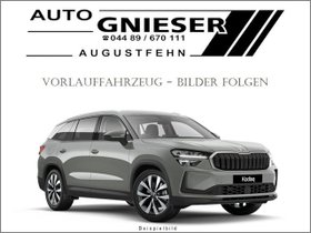 Skoda Kodiaq 1.5 TSI mHEV DSG Selection ACC/LED/PDC...