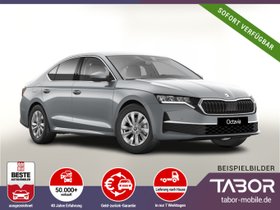 SKODA Octavia DSG Selec Matrix Nav Kessy Kam SHZ vEHK