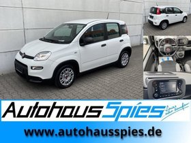 FIAT PANDA 1.0 MILD HYBRID  BASE KLIMA DAB 