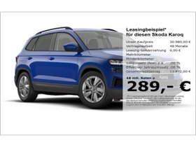 SKODA Karoq SELCTION 1.5TSI DSG 17''ALU,PRIVACY,CLIMATR....
