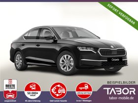 SKODA Octavia DSG Selec Matrix Nav Kessy Kam SHZ vEHK