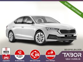 SKODA Octavia eTSI 150 DSG Selec Matrix Nav ParkL vEHK