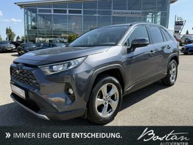 TOYOTA RAV 4 HYBRID TEAM DEUTSCHLAND/TECHNIK-PAKET/DAB
