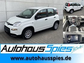FIAT PANDA 1.0 MILD HYBRID  BASE KLIMA DAB 